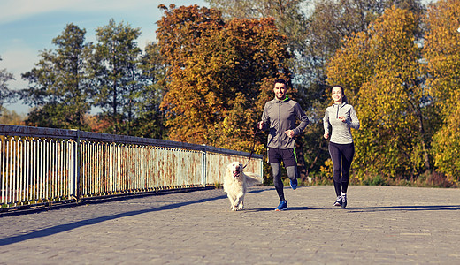 健身,运动,人生活方式的快乐的夫妇与狗户外跑步快乐的狗户外跑步图片