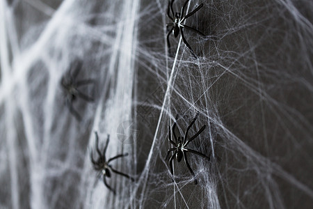人造蜘蛛网万节装饰黑色玩具图片