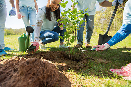 志愿服务慈善人生态理念群志愿者公园里亲手种植树苗群志愿者公园里植树图片