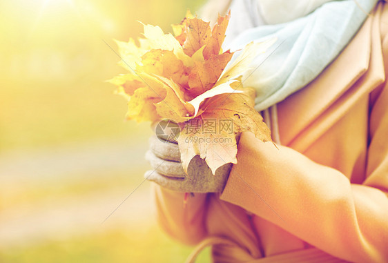 季节人的秋天的公园里,女人抱着枫叶秋天公园里带着枫叶的女人图片