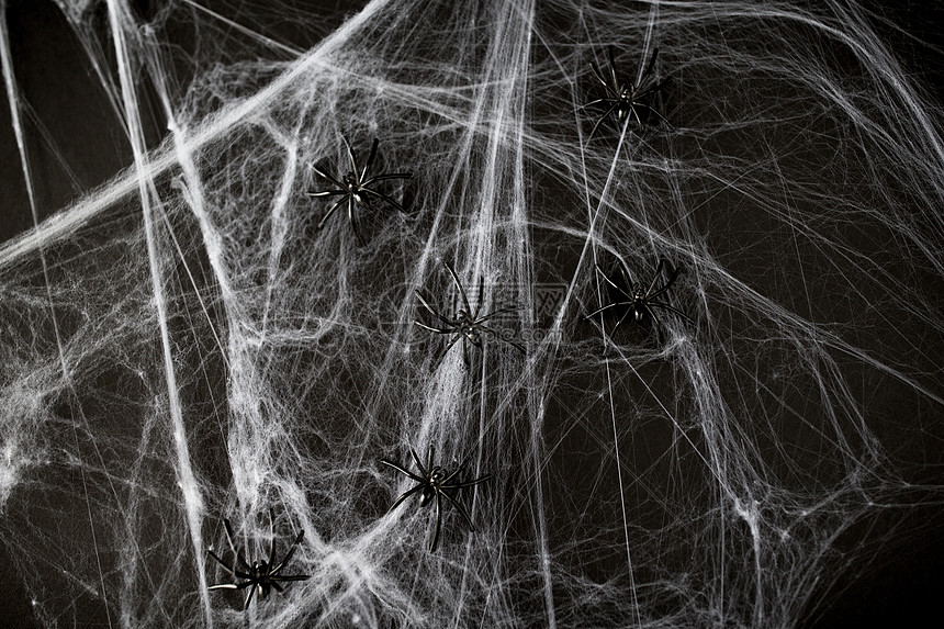 ‘~万节,装饰人工蛛网上的黑色玩具蜘蛛万节装饰黑色玩具蜘蛛网上  ~’ 的图片