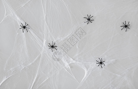 万节装饰人工蛛网上的黑色玩具蜘蛛万节装饰黑色玩具蜘蛛网上图片
