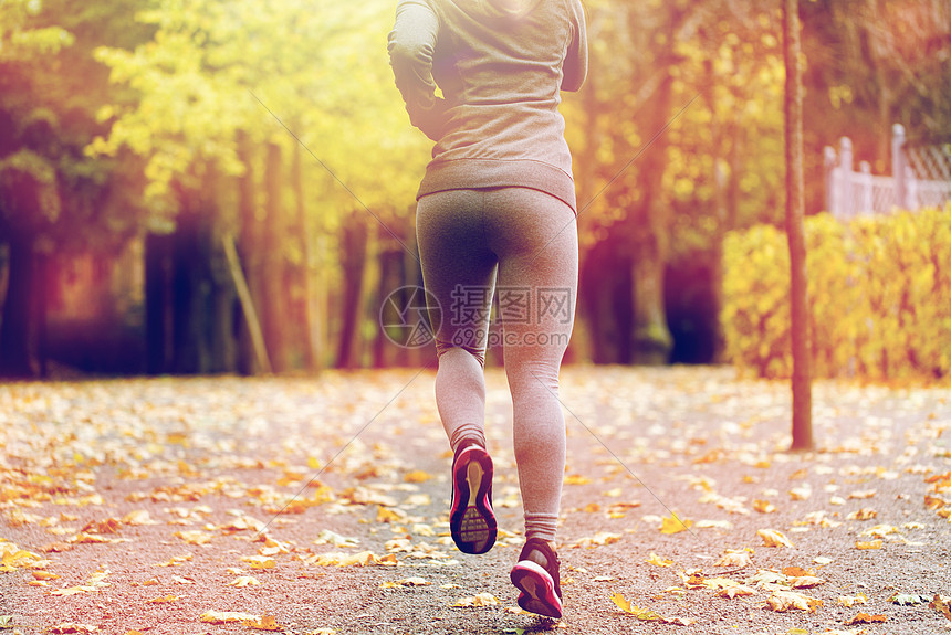 健身,运动,人,穿健康的生活方式密切轻妇女秋季公园跑步轻女子秋天公园跑步图片