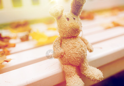 季节,童孤独的孤独的玩具兔子秋天公园的长凳上秋天公园长凳上的玩具兔子图片