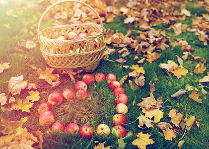季节,自然,爱,情人节环境的苹果柳条篮子心形与秋天的叶子草地上心形的苹果草地上的秋叶图片