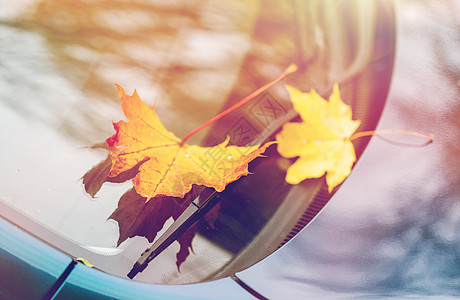 季节运输汽车雨刷与秋季枫叶挡风璃上用秋叶汽车雨刷图片