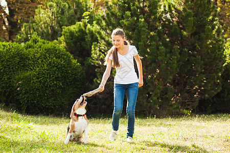 趣的女孩公园里扔棍子给活跃的比格犬女孩院子里只狗玩图片