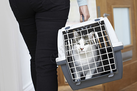 女人带着宠物猫承运人的兽医图片