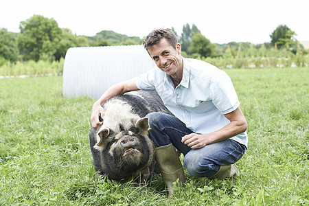 农民与猪田间的肖像图片