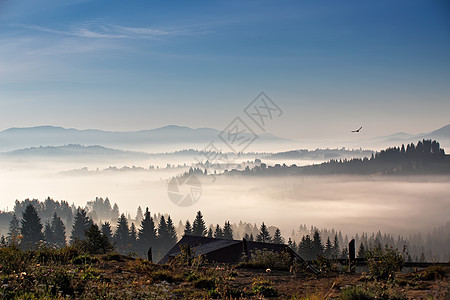 鸟飞过山丘村庄喀尔巴阡山上雾蒙蒙的早晨图片