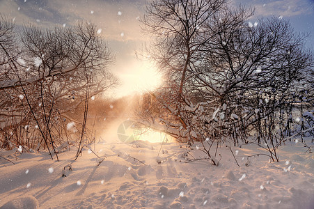 太阳雪花阳光明媚的冬天早晨条河上,白俄罗斯图片