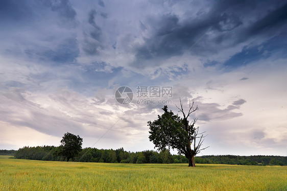 夏季风暴景观戏剧的多云天空白俄罗斯的飓风雨图片