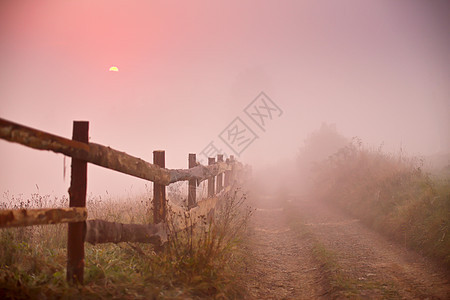 乡村围栏雾蒙蒙的早晨,篱笆泥土路朦胧的乡村景象图片