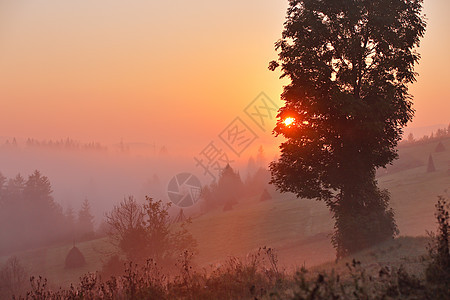 雾蒙蒙的早晨雾蒙蒙的乡村山丘雾蒙蒙的秋日日出山上图片
