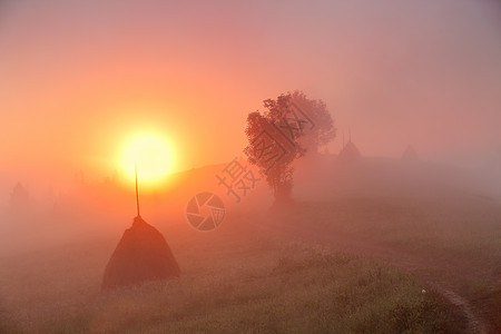 山野上的日出朦胧的乡村山丘上的干草堆雾蒙蒙的秋天早晨山上图片