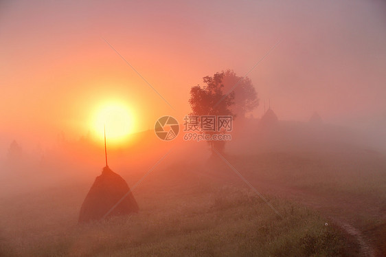 山野上的日出朦胧的乡村山丘上的干草堆雾蒙蒙的秋天早晨山上图片