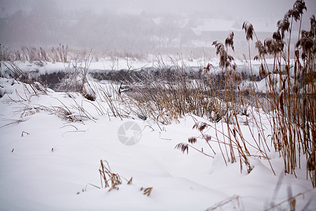 雪霜甘蔗草地上,条冻结的薄雾河流上多云的下雪天气图片