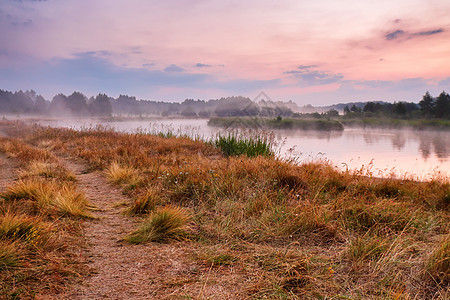 早上雾的河夏天的薄雾黎明朦胧的早晨场景图片