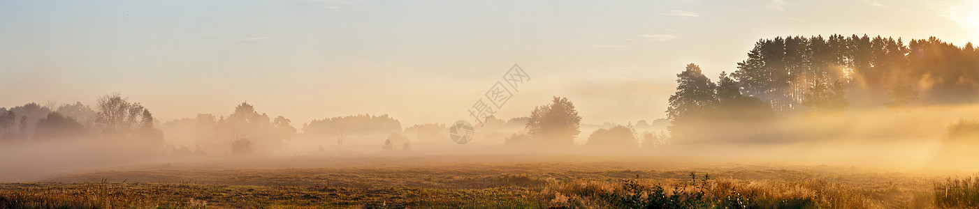 早上雾的夏季草地朦胧的黎明全景森林上空朦胧的日出图片