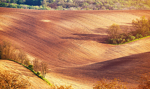 弹簧滚动波状场的抽象图案纹理春耕土壤山上的可耕地捷克共国莫拉维亚图片