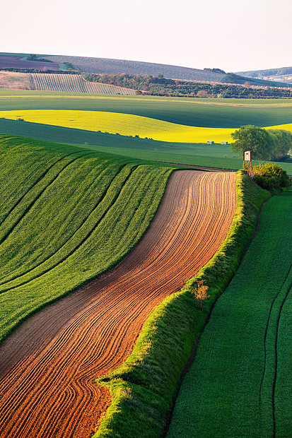 捷克莫拉维亚春季绿色田野上的狩猎小屋盒绿色春天耕地上农村农业场景图片