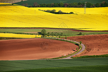 阳光明媚的早晨南莫拉维亚山丘上的春天农田捷克绿色春天田野农村农业场景图片