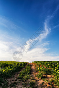 孤独的女人站通往天空的土路上夏季景观与绿色玉米谷物田地道路云图片