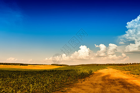 夏季景观与绿色玉米谷物田地道路云元素通往远处的土路图片