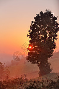 雾蒙蒙的早晨雾蒙蒙的乡村山丘雾蒙蒙的秋日日出山上图片