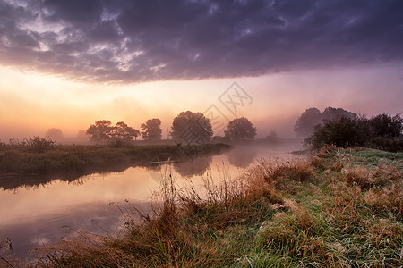 奇妙的雾状河流,日出时新鲜的青草戏剧的五颜六色的风景黎明河岸上朦胧的早晨条河上图片