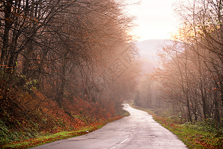 秋天森林里的路日落时美丽的森林山路五颜六色的景观与树木,乡村道路旅行秋天的背景令人惊叹的森林,充满活力的树图片