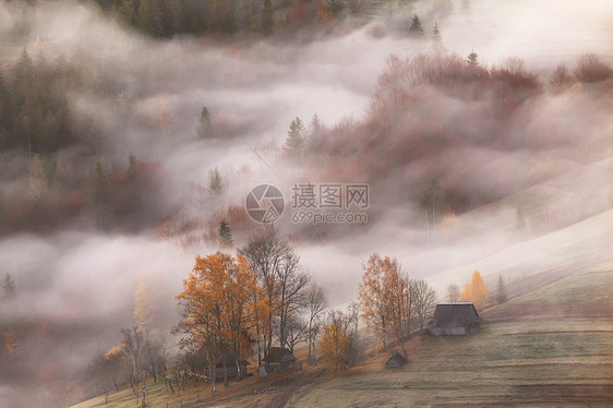 山村雾云中,秋天的早晨山上的农场森林里的薄雾图片