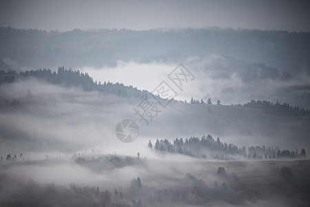 秋天的雨薄雾山上晨雾笼罩着山丘森林山顶周围浓雾秋天的背景图片