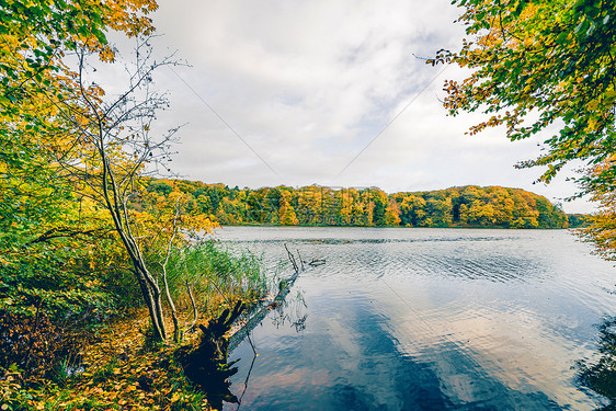 秋天的湖景五颜六色的树,秋天个大湖,水里棵倒下的树,秋天的颜色树图片