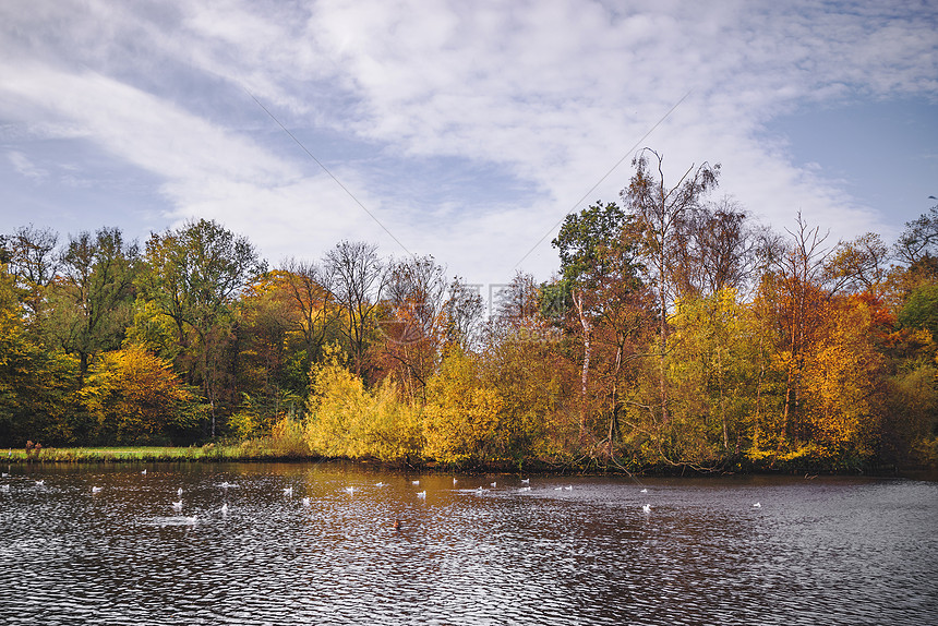 秋天的景色与五颜六色的秋树围绕着个带鸟的湖高清图片下载 正版图片 摄图网