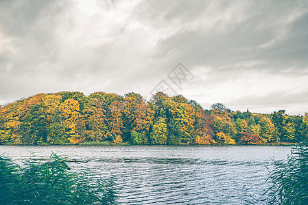 秋天的湖旁五颜六色的秋树,十月的阴天金色的叶子,秋天的颜色金色的图片