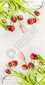 美丽的红色弯曲郁金香与标签白色木制背景,顶部视图,垂直花卉边框春天的花朵图片