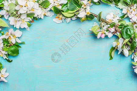 春季白色花背景绿松石蓝色背景阳光下与阴影 顶部的春天的自然高清图片下载 正版图片 摄图网 春季白色花背景绿松石蓝色背景阳光下与阴影 顶部的春天的自然高清图片下载 正版图片 摄图网