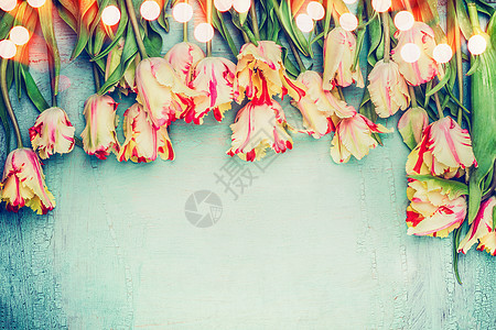 美丽的郁金香花卉边框与波克蓝色复古背景,顶部的视图,地方为文本鹦鹉郁金香图片