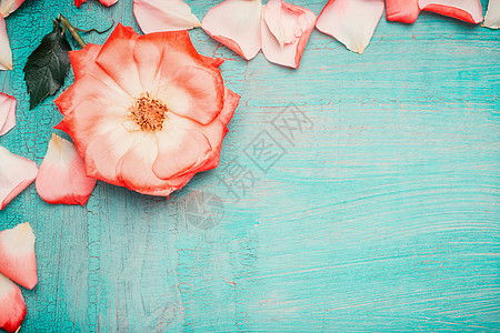 粉红色苍白的玫瑰,花瓣蓝色的绿松石背景上,顶部的景色爱,浪漫情人节的背景图片