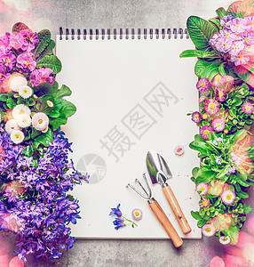 花卉园艺背景与五颜六色的花园花卉盆,空白纸笔记本园艺工具,顶部视图,框架图片