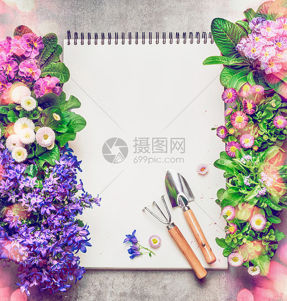 花卉园艺背景与五颜六色的花园花卉盆,空白纸笔记本园艺工具,顶部视图,框架图片