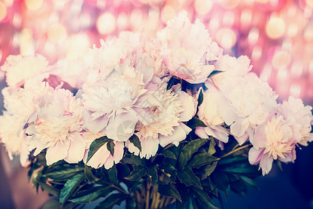 漂亮的群粉红色的浅牡丹与波克照明,柔的花卉背景图片