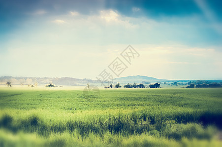 夏季自然景观背景,绿地美丽的天空,户外图片