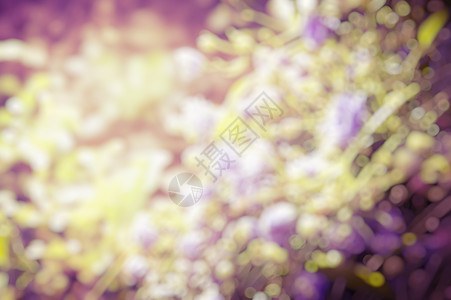 紫黄色模糊的自然背景图片