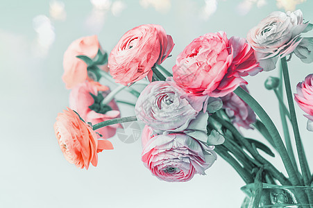 贺卡与粉彩花波克,花卉边框可爱的毛花绽放浅蓝色的背景,花的边界图片