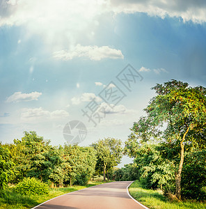 夏天的风景道路,树木,蓝天阳光图片