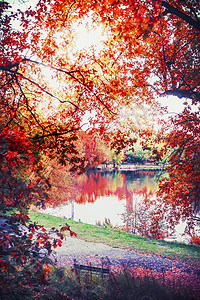 秋季景观,公园内五颜六色的树叶湖泊,秋季户外自然背景图片