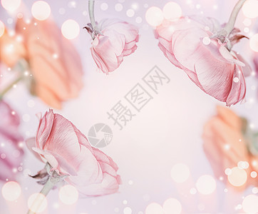 粉粉色花卉背景与Bokeh,框架节日贺卡图片