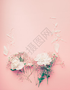 粉彩花框架与牡丹花瓣粉红色的背景,顶部视图背景图片